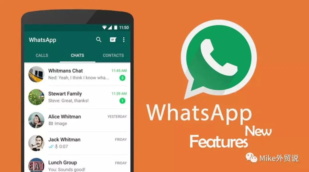 whatsapp中文官方下载-WhatsApp中文官方下载：安全性与功能完善性的挑战