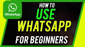whatsapp官方app-掌握whatsapp官方app，畅享高效沟通！