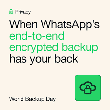 WhatsApp视频清理，轻松释放存储空间！