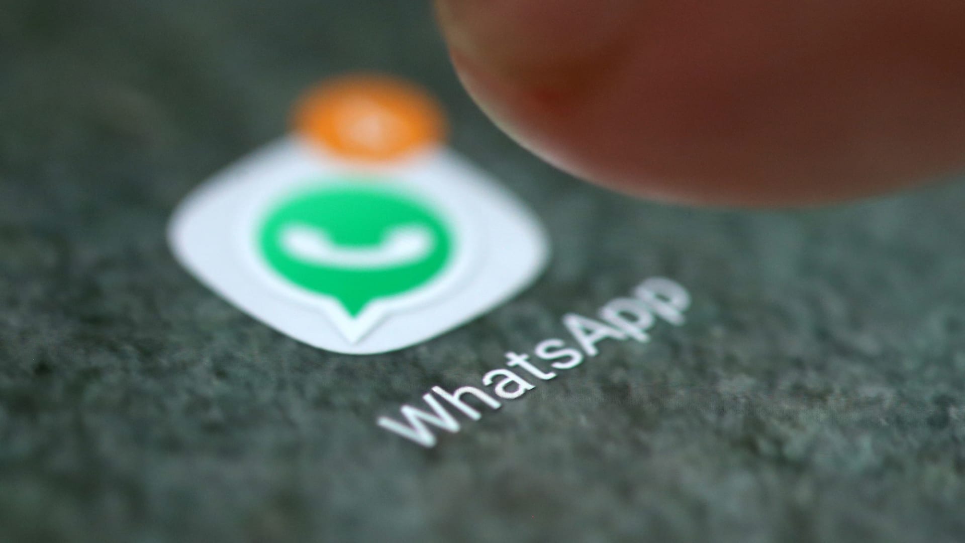 whatsapp最新版-最新版whatsapp：全球热门通讯应用