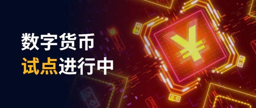 TP钱包看行情,轻松了解数字资产 TP钱包看行情,轻松了解数字资产