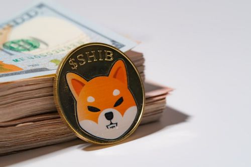 狗狗币钱包转账_TP钱包狗狗币怎么转到欧意_狗狗币转入冷钱包