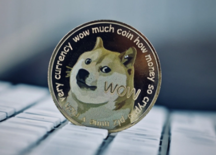 狗狗币钱包dogecoin_狗狗币放tp钱包_tp钱包不支持狗狗币