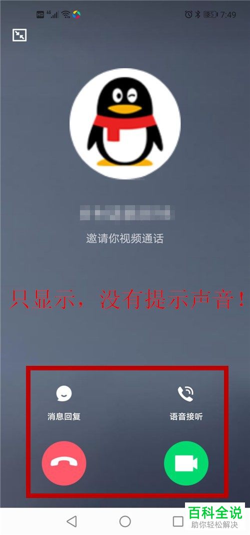 whatsapp官网版下载_官网whatsapp下载安装_樱花动漫官网下载版