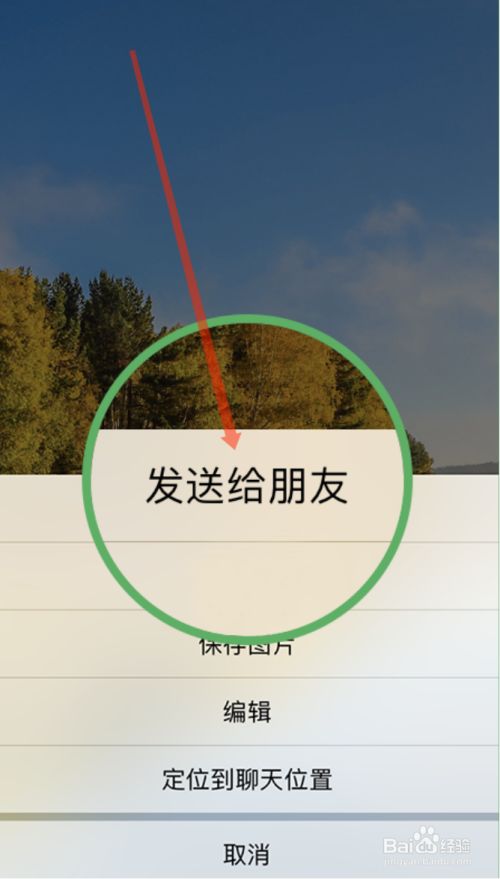 最新版WhatsApp_最新版whatsapp下载_whatsapp最新版