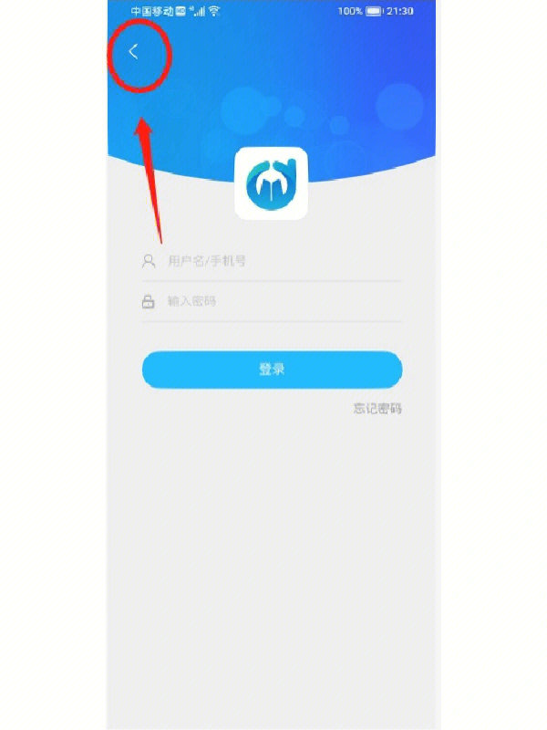 官网下载安装_官网下载WhatsApp_whatsapp怎么下载官网