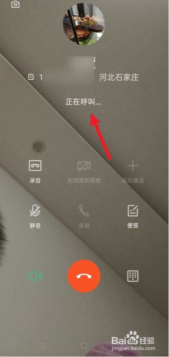 whatsapp中文手机版_中文版手机电子琴下载_中文版手机steam