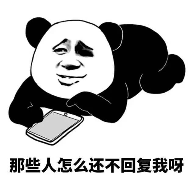 最新版whatsapp下载_whatsapp最新版