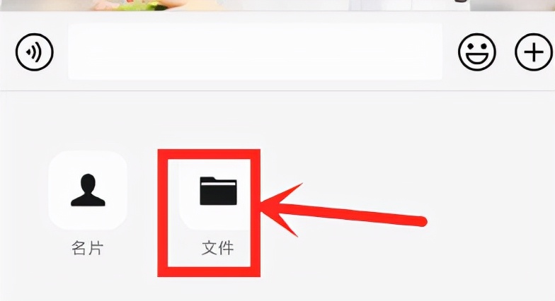 轻松掌握whatsapp，从此畅享高效沟通