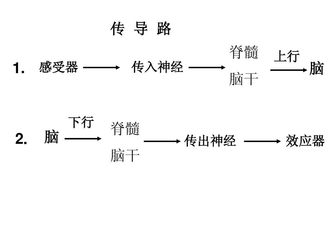 whatsapp官方最新版下载