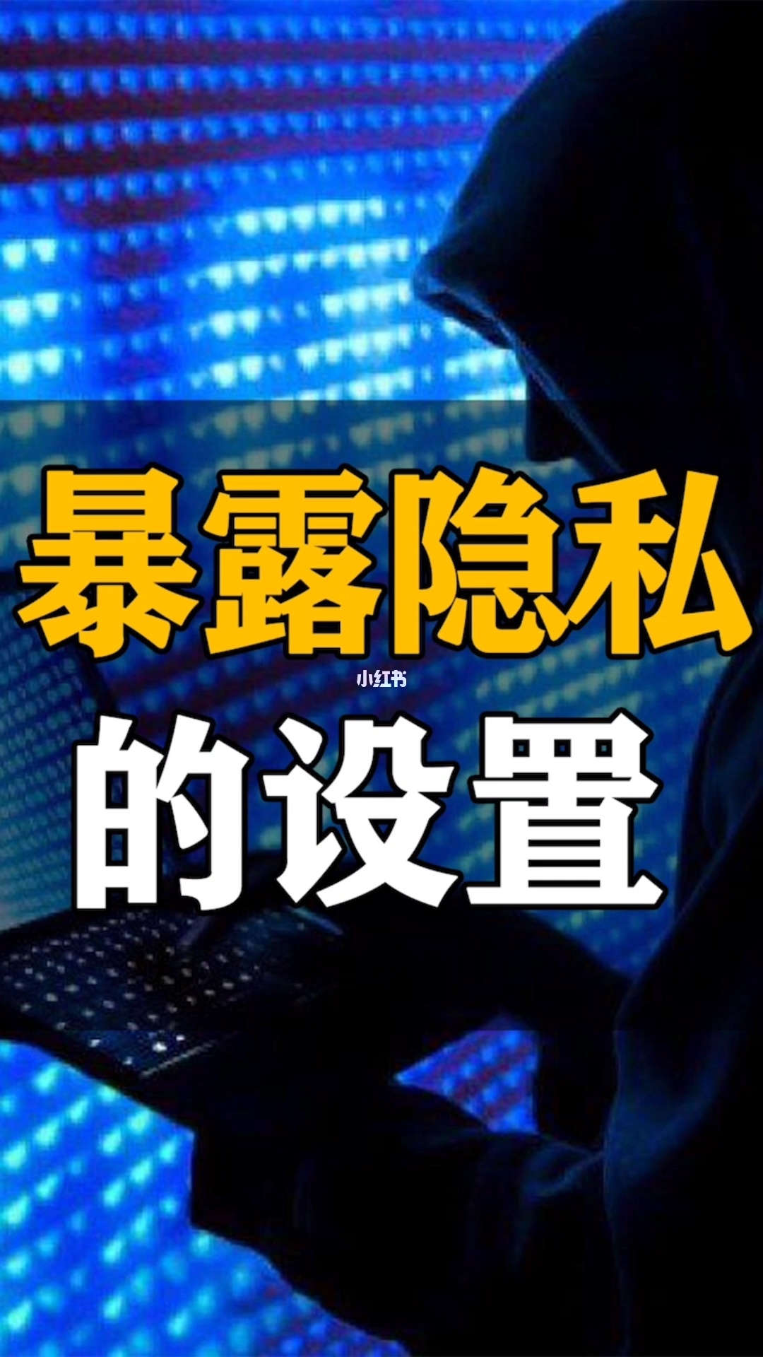 whatsapp官网下载_whatsapp官网版载_官网whatsapp下载安装