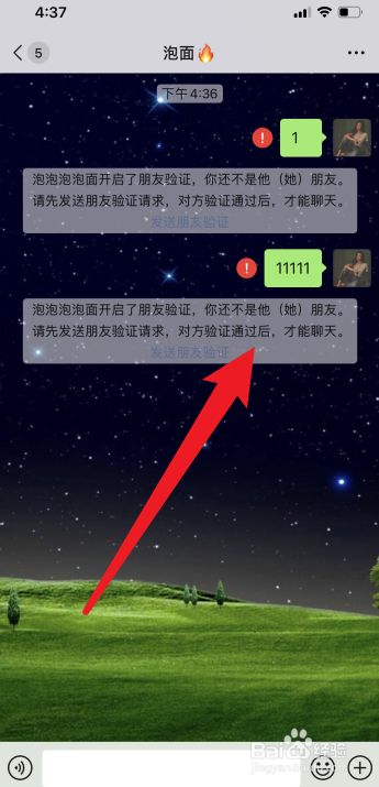 最新版whatsapp下载_whatsapp最新版