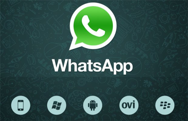 whatsapp官网下载_官网下载波克捕鱼_官网下载拼多多