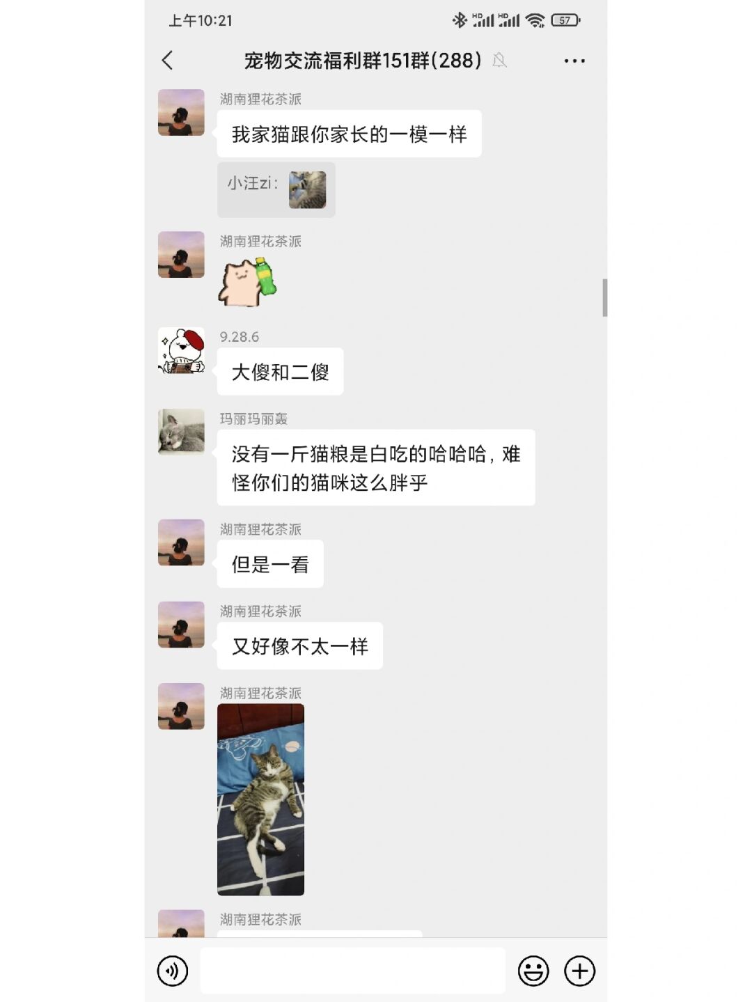 官方下载whatshApp_官方下载中国象棋_whatsapp官方下载