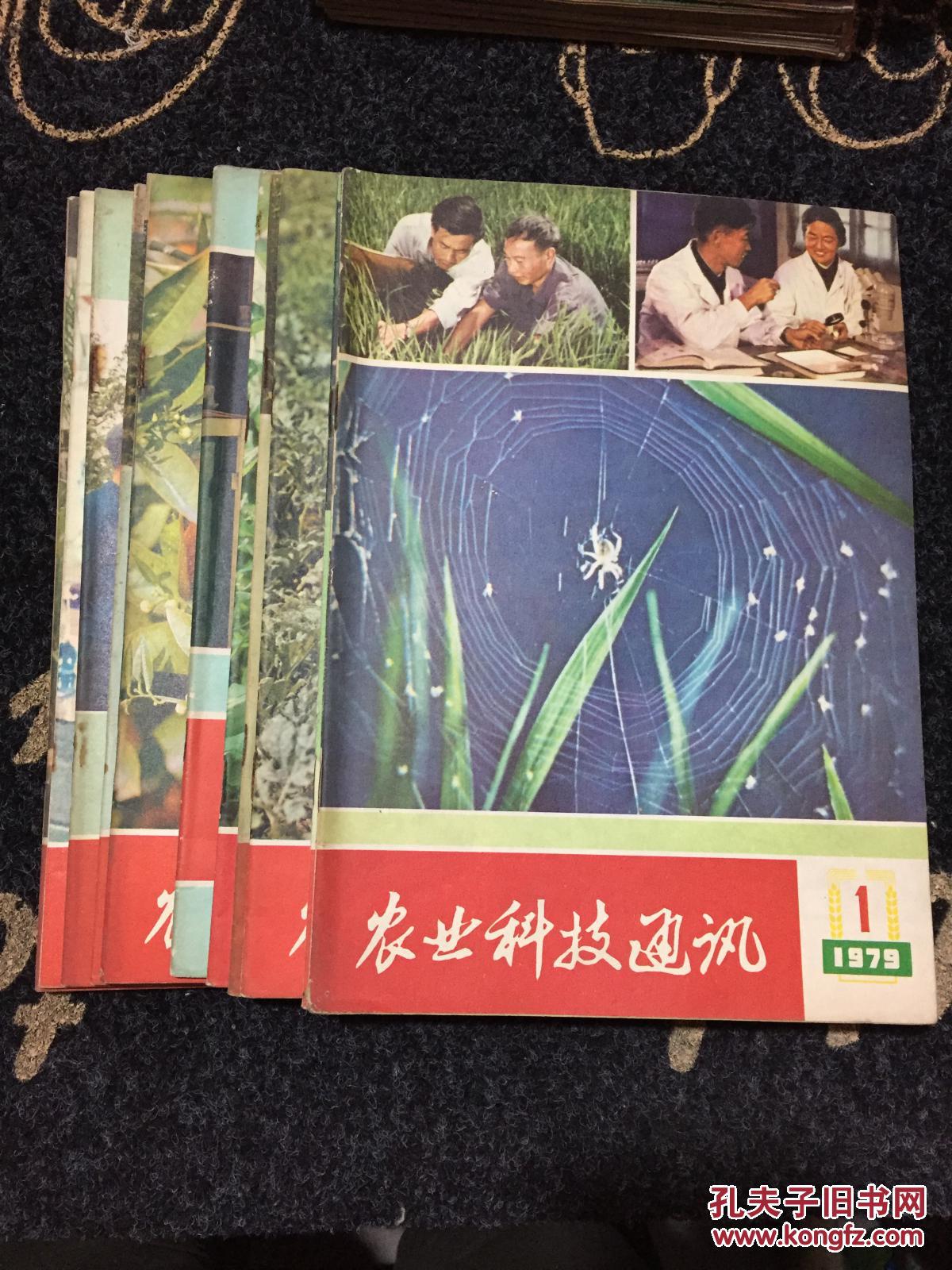 公司是企业吗_公司是什么意思_whatsapp是那个公司