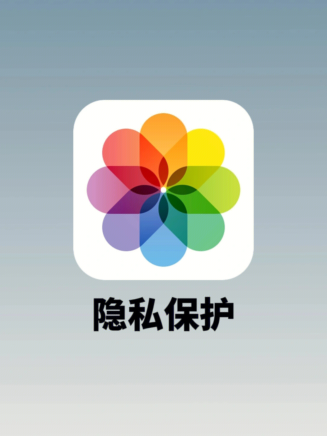 官网whatsapp下载安装_whatsapp官网下载_whatsapp官网版载