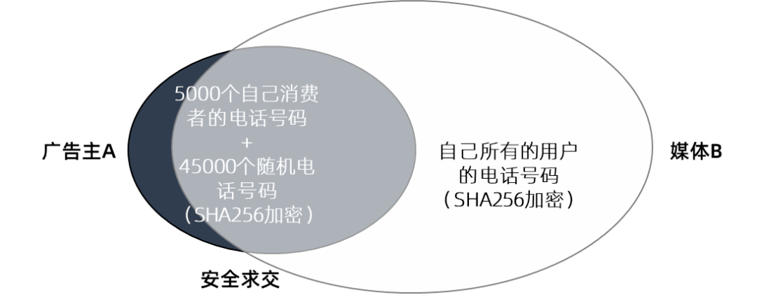 官方whatsapp免费下载_whatsapp官方app_官方whatsapp