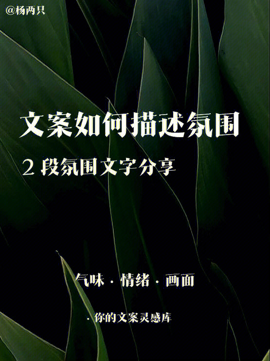 whatsapp如何聊天_whatsapp聊天背景_whatsapp是什么