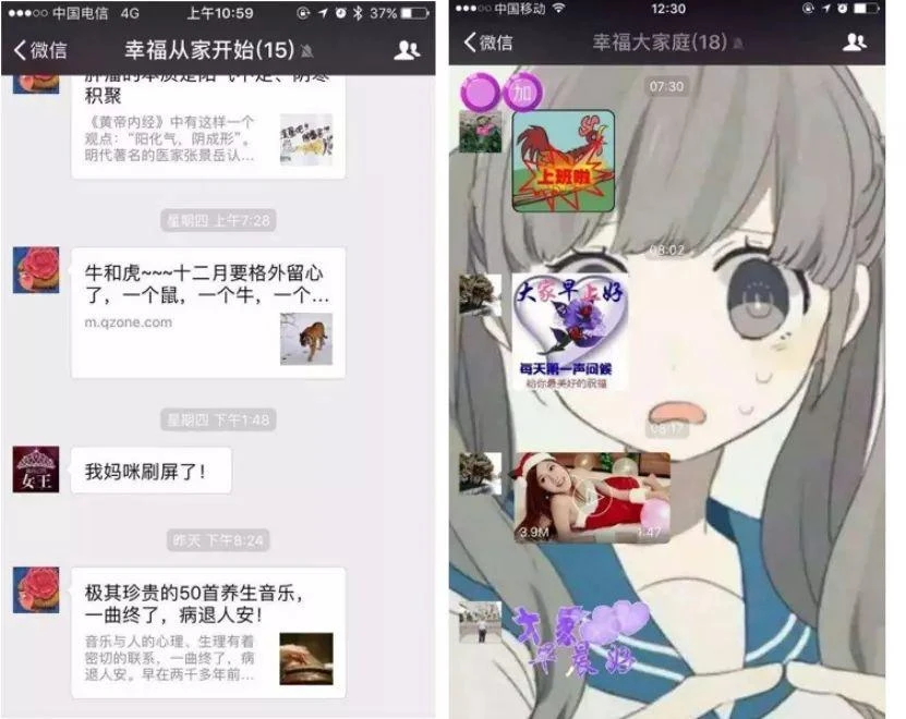 whatsapp官方下载-WhatsApp官方下载，让你的聊天更高效
