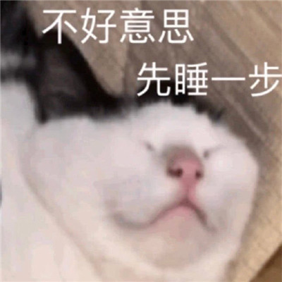 whatsapp官方最新版下载_whatsapp官方最新版下载_whatsapp官方最新版下载