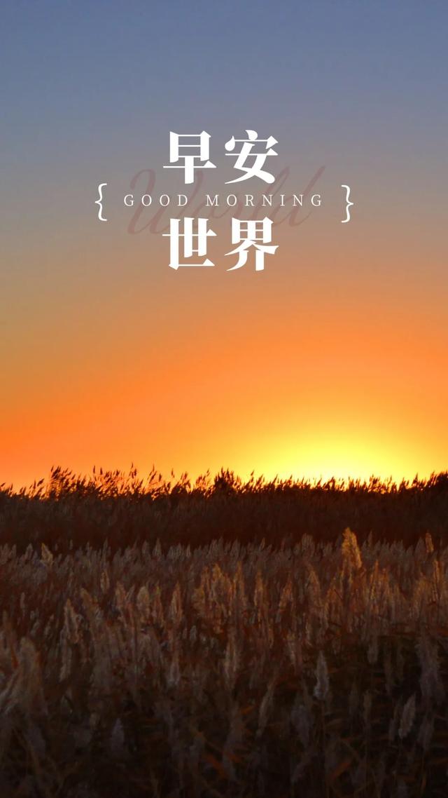 官方版手机正宗风水罗盘_官方版手机管家_whatsapp官方手机版