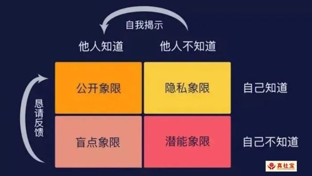 最新版whatsapp官网_whatsapp最新版_最新版whatsapp下载