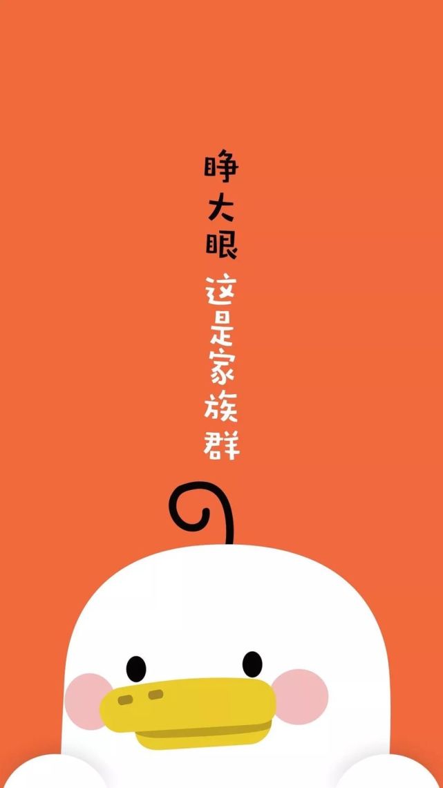 whatsapp最新版：个性化聊天体验全新升级