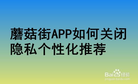 安卓版whatsapp下载_whatsapp安卓版_whatsapp安卓版