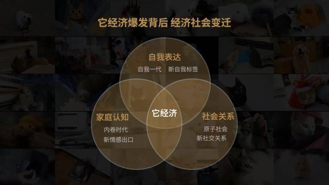 公司是企业吗_whatsapp是那个公司_公司是什么意思