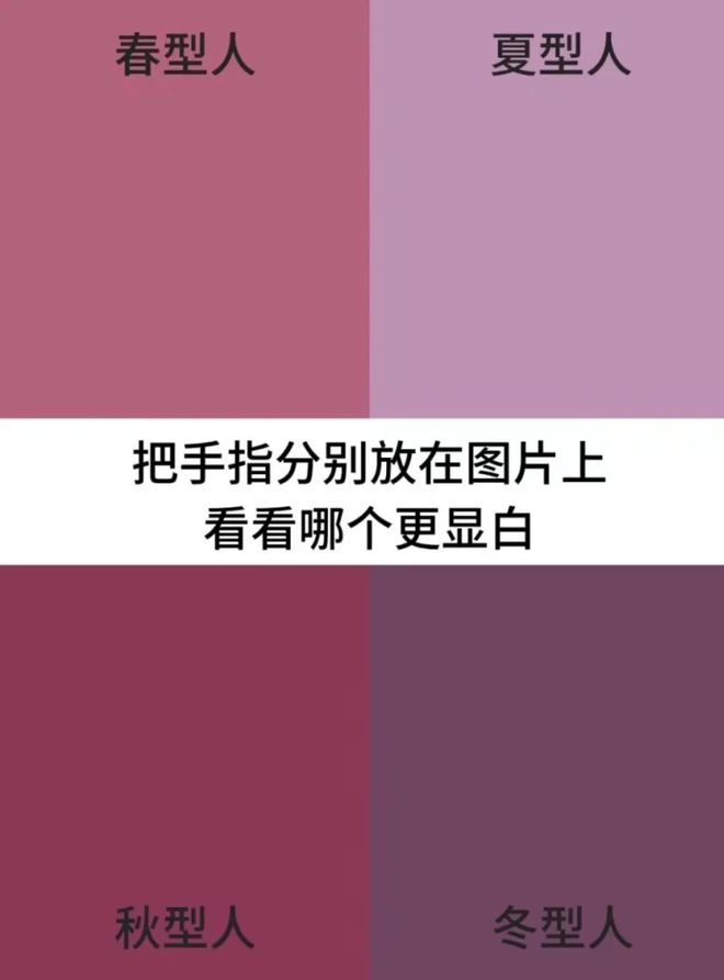 whatsapp是属于什么-WhatsApp：打破时空限制，连接世界的生活方式
