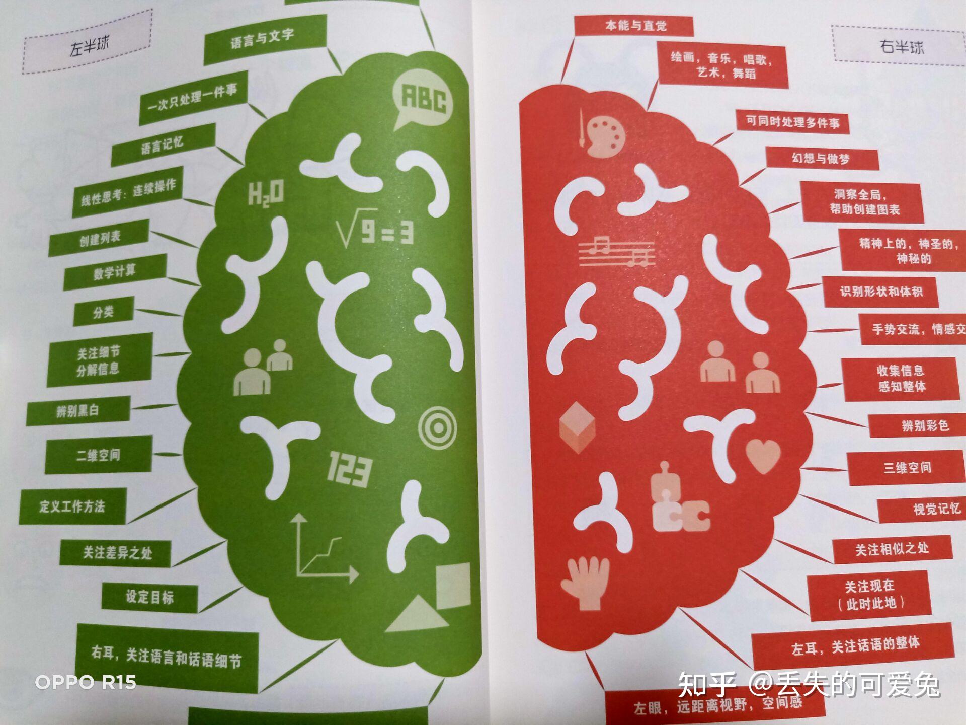 whatsapp最新版：三大功能让沟通更高效
