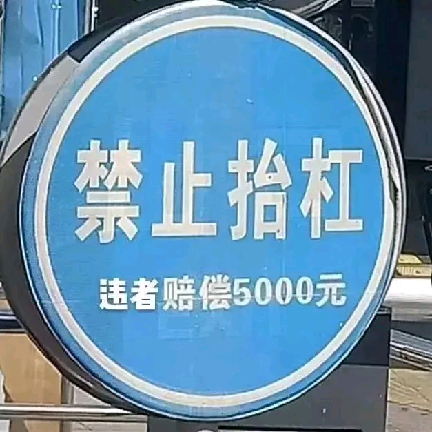 中文版手机电子琴键盘有字版_中文版手机SDR软件_whatsapp中文手机版