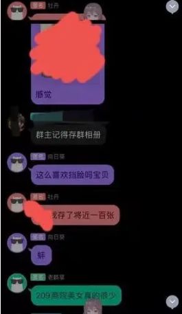 whatsapp官网版下载：领略全新社交风潮