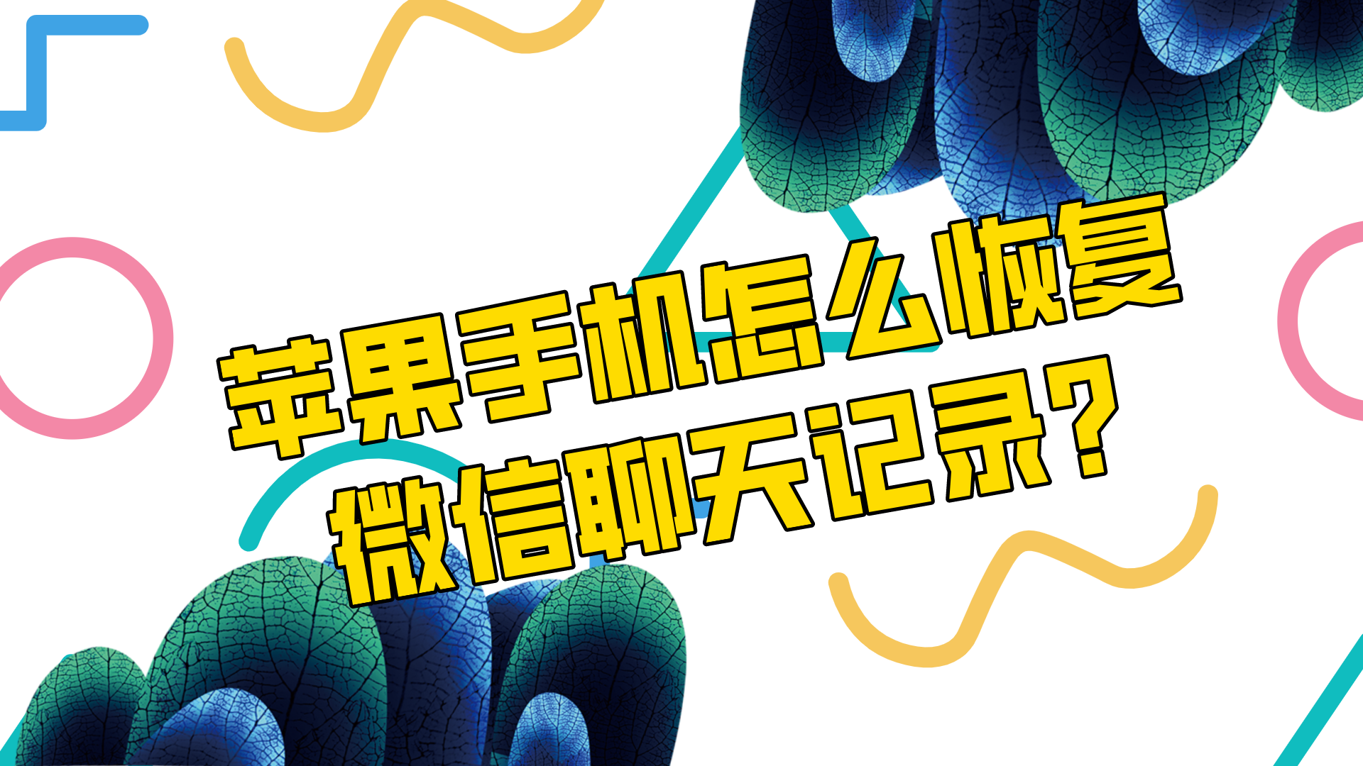 属于是什么意思数学_属于是哪一年_whatsapp是属于什么