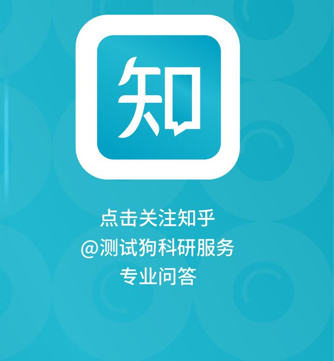 whatsapp中文最新版：功能强大，用户体验优秀，通讯安全可靠