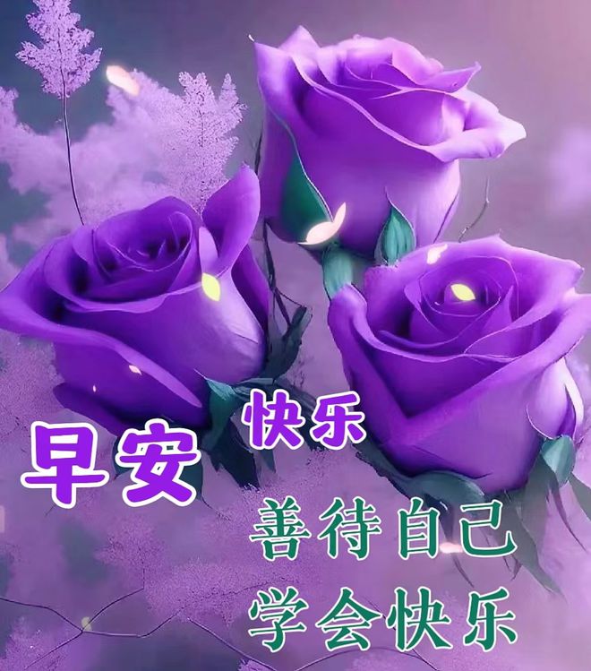中文最新版泰拉瑞亚_whatsapp中文最新版_中文最新版土豆兄弟
