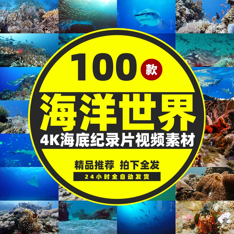 中文官方下载_whatsapp下载中文版_whatsapp中文官方下载
