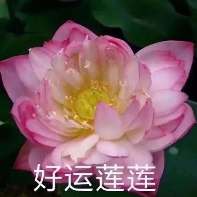 whatsapp怎么创建？-零基础教学！轻松创建whatsapp群聊，快来定制你的专属聊天空间