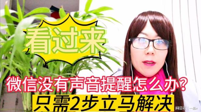 whatsapp中文最新版_中文最新版土豆兄弟_中文最新版泰拉瑞亚