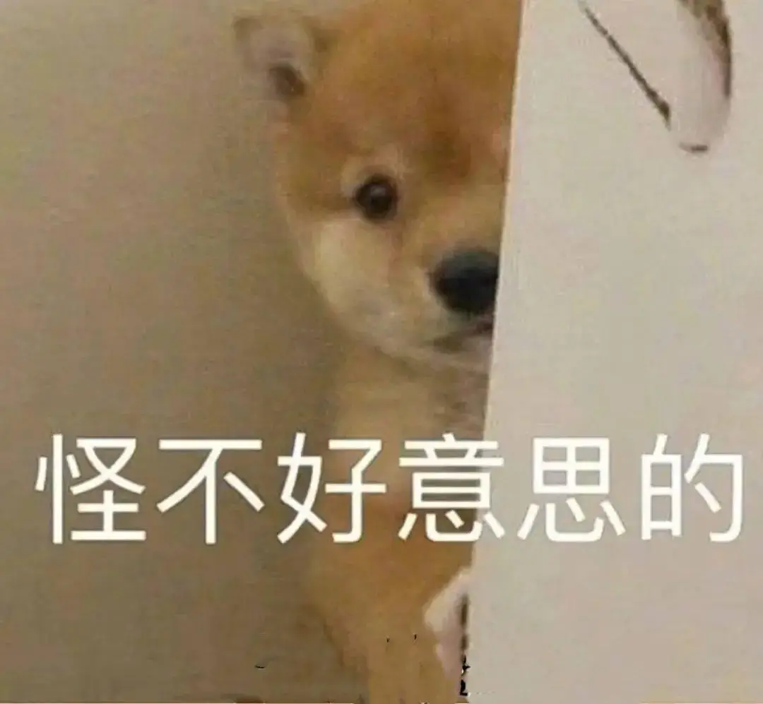 最新版whatsapp安卓版_whatsapp最新版_最新版WhatsApp下载