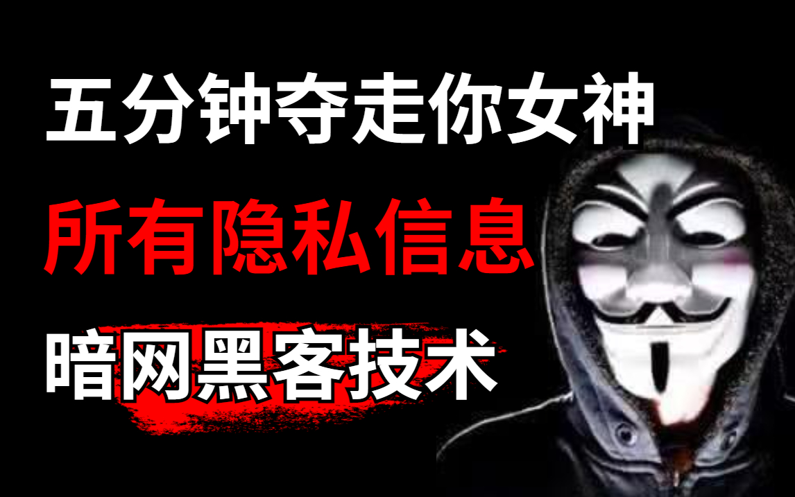 最新版whatsapp官网_whatsapp最新版_最新版whatsapp安卓版