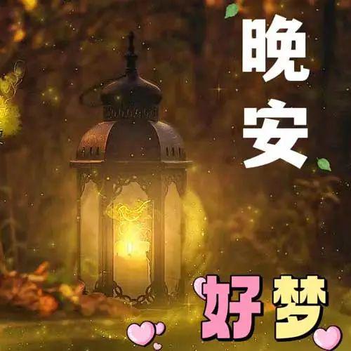 中文最新版樱花校园模拟器_whatsapp中文最新版_中文最新版本