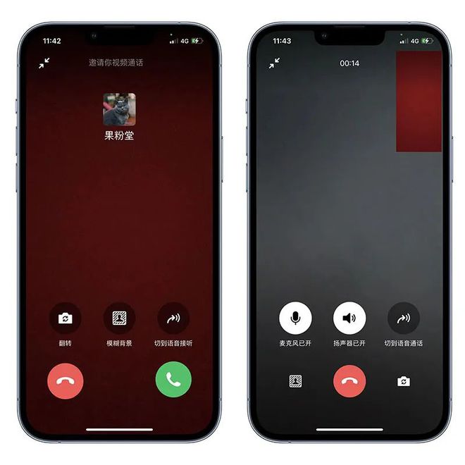 whatsapp官方app_科学松鼠会官方app_每日一文app官方下载