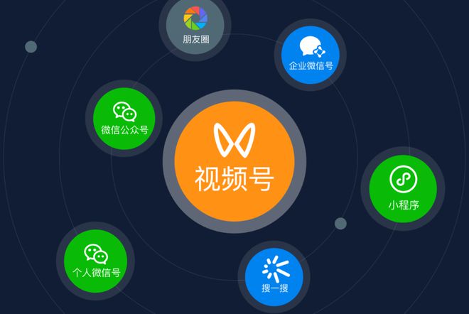 whatsapp是属于什么_西柚属于是_属于是什么关系