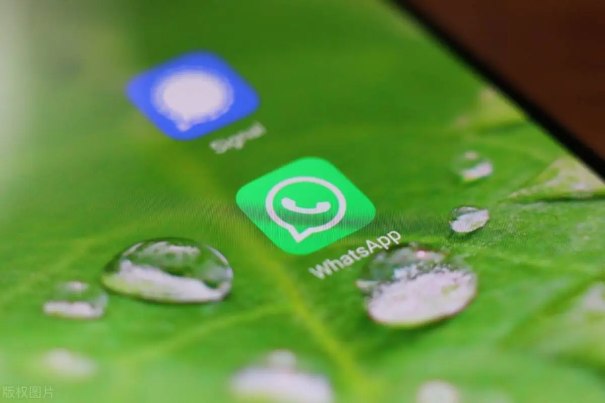 官网下载app豌豆荚_whatsapp官网下载_官网下载安装