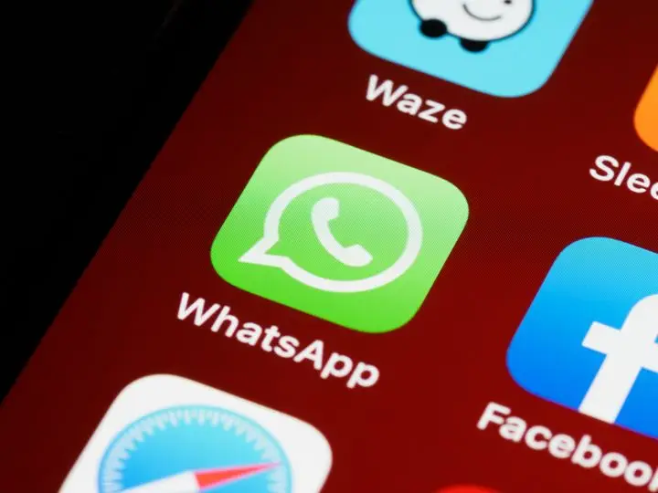 whatsapp安卓版_whatsapp安卓版_安卓版whatsapp下载