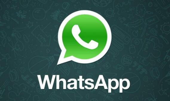 官方whatsapp下载不了_官方whatsapp_whatsapp官方app