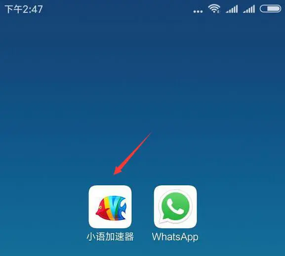 whatsapp官网版下载-如何下载WhatsApp官网版？安全又简单的指南