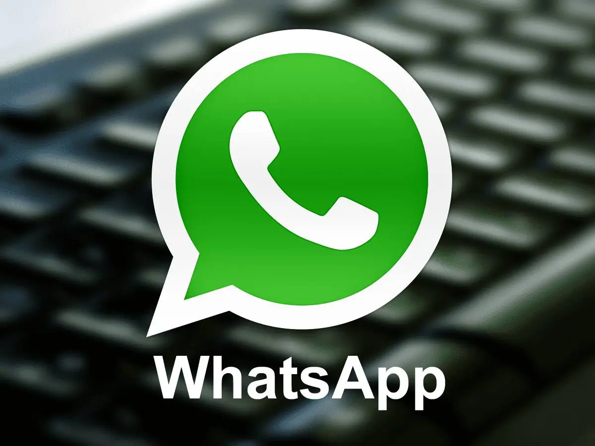 whatsapp中文最新版_中文最新版本_中文最新版樱花校园模拟器下载