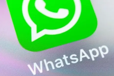 中文最新版本_whatsapp中文最新版_中文最新版樱花校园模拟器下载